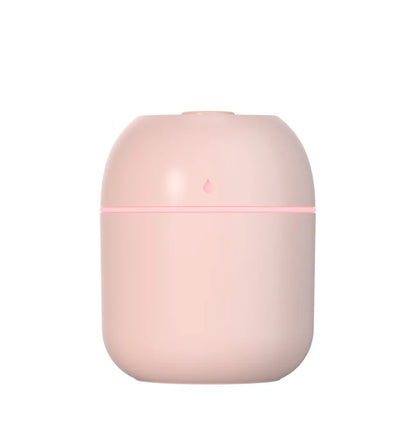 USB Mist Facial Sprayer — Rechargeable Nano Face Steamer Moisturizing Beauty Skin Care Tool